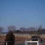 天空のピオーネ農園アグリスジャパン