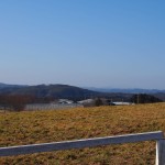 天空のピオーネ農園アグリスジャパン