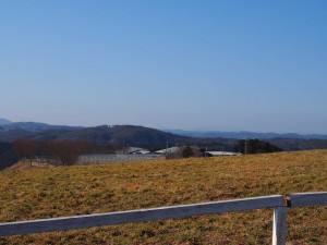 天空のピオーネ農園アグリスジャパン