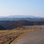 天空のピオーネ農園アグリスジャパン