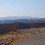 天空のピオーネ農園アグリスジャパン