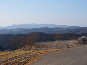 天空のピオーネ農園アグリスジャパン