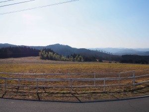天空のピオーネ農園アグリスジャパン