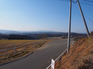 天空のピオーネ農園アグリスジャパン