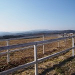 天空のピオーネ農園アグリスジャパン