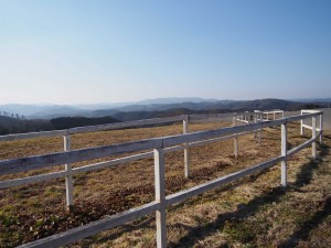 天空のピオーネ農園アグリスジャパン