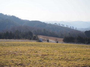 天空のピオーネ農園アグリスジャパン