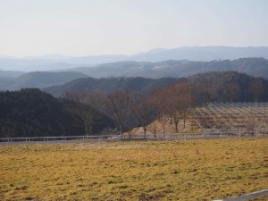 天空のピオーネ農園アグリスジャパン