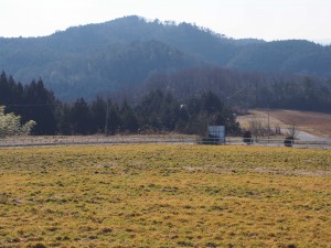 天空のピオーネ農園アグリスジャパン