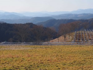 天空のピオーネ農園アグリスジャパン