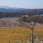 天空のピオーネ農園アグリスジャパン