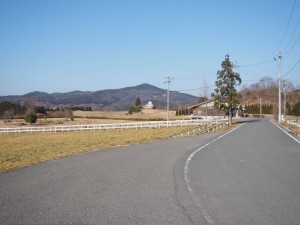 天空のピオーネ農園アグリスジャパン