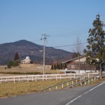 天空のピオーネ農園アグリスジャパン
