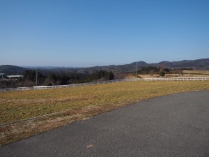 天空のピオーネ農園アグリスジャパン