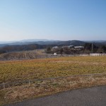 天空のピオーネ農園アグリスジャパン