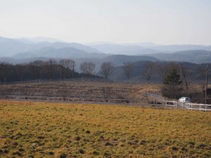天空のピオーネ農園アグリスジャパン