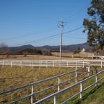 天空のピオーネ農園アグリスジャパン