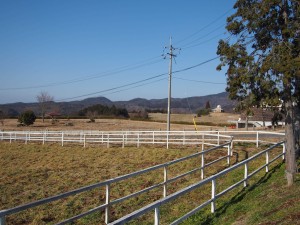 天空のピオーネ農園アグリスジャパン