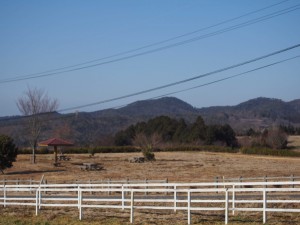 天空のピオーネ農園アグリスジャパン
