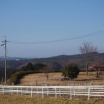 天空のピオーネ農園アグリスジャパン