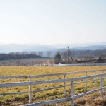 天空のピオーネ農園アグリスジャパン