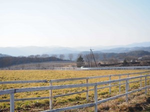天空のピオーネ農園アグリスジャパン