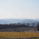 天空のピオーネ農園アグリスジャパン