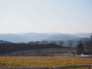 天空のピオーネ農園アグリスジャパン