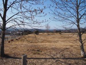 天空のピオーネ農園アグリスジャパン