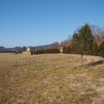 天空のピオーネ農園アグリスジャパン