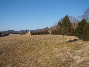 天空のピオーネ農園アグリスジャパン