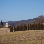 天空のピオーネ農園アグリスジャパン