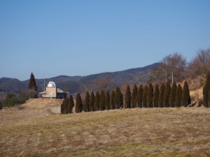 天空のピオーネ農園アグリスジャパン