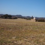 天空のピオーネ農園アグリスジャパン