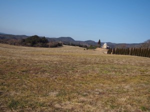 天空のピオーネ農園アグリスジャパン