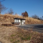 天空のピオーネ農園アグリスジャパン