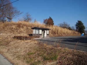 天空のピオーネ農園アグリスジャパン
