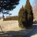 天空のピオーネ農園アグリスジャパン