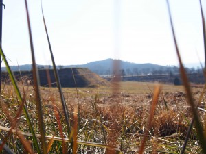 天空のピオーネ農園アグリスジャパン
