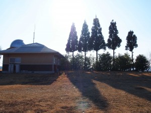 天空のピオーネ農園アグリスジャパン