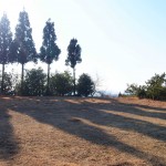 天空のピオーネ農園アグリスジャパン