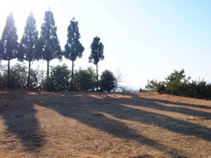 天空のピオーネ農園アグリスジャパン