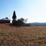 天空のピオーネ農園アグリスジャパン