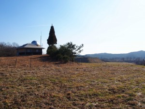 天空のピオーネ農園アグリスジャパン