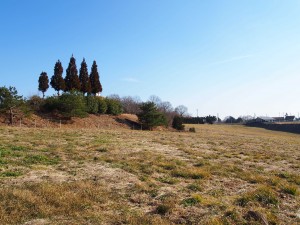 天空のピオーネ農園アグリスジャパン