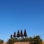 天空のピオーネ農園アグリスジャパン