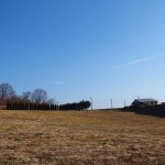 天空のピオーネ農園アグリスジャパン