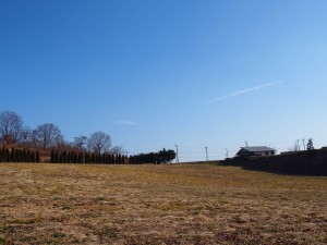 天空のピオーネ農園アグリスジャパン