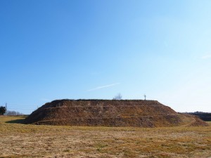 天空のピオーネ農園アグリスジャパン