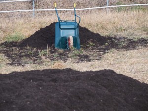 天空のピオーネ農園アグリスジャパン